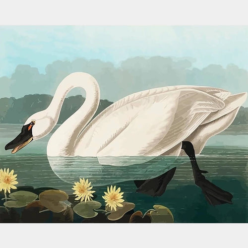 Common American Swan - Diamantmålning - Standardstorlek