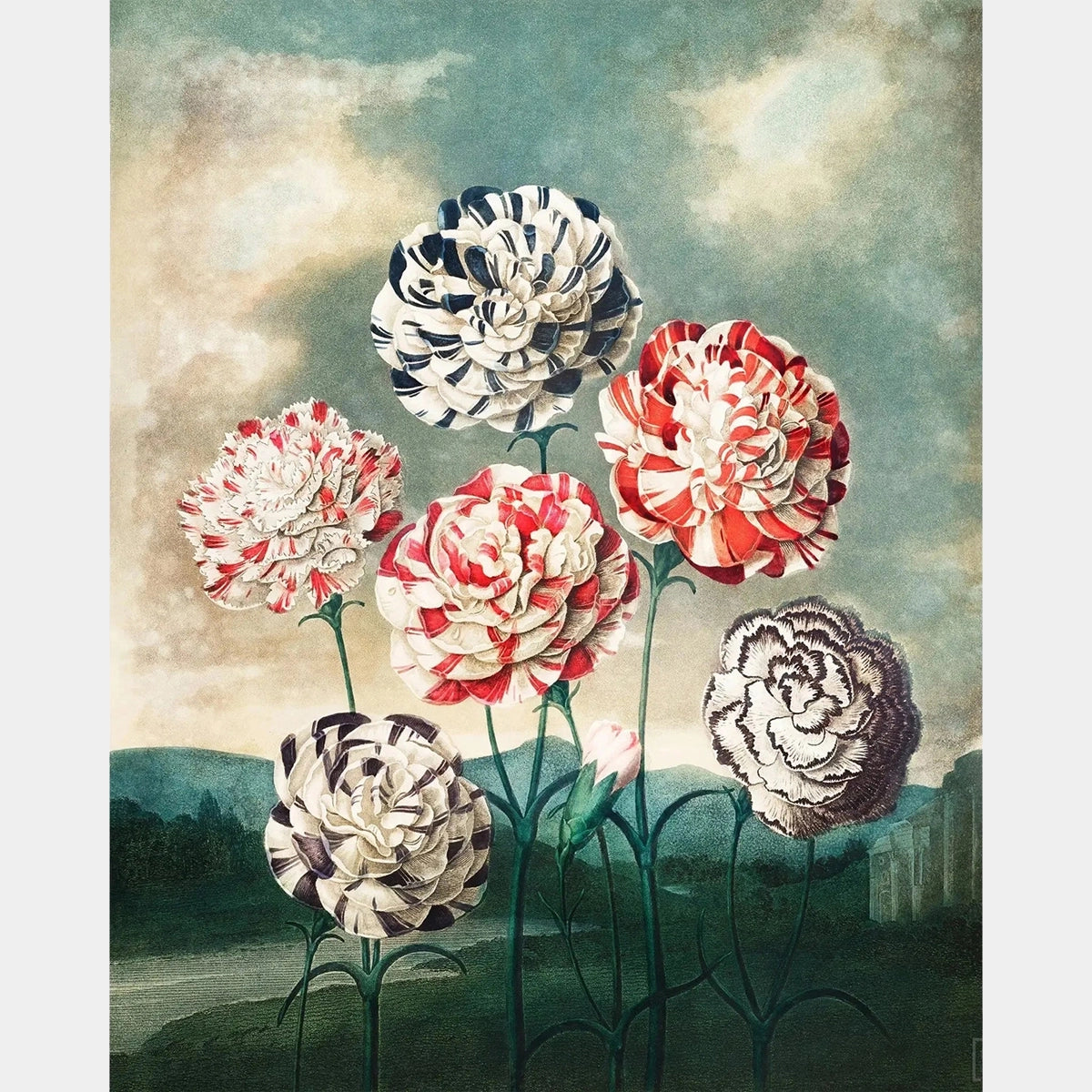 Grupo de Claveles - Pintura de Diamantes - Grande