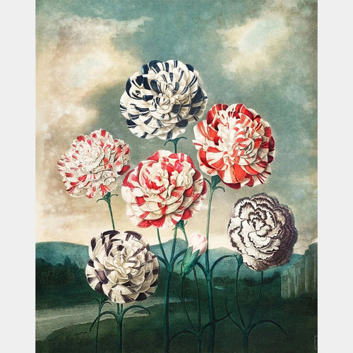Groupe de Œillets - Diamond Painting - Grand