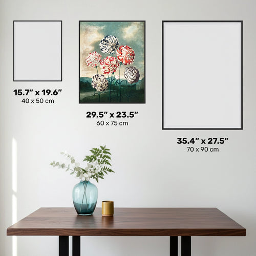 Groupe de Œillets - Diamond Painting - Grand