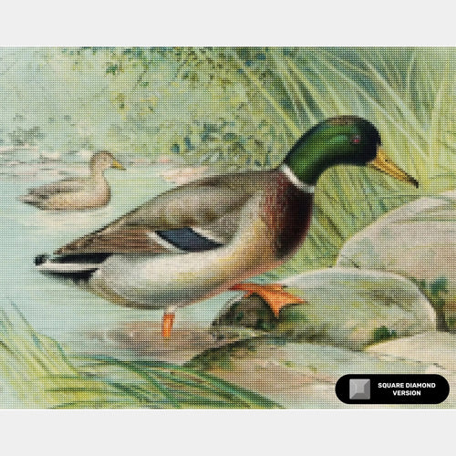 Malle eend - Diamond Painting - Groot