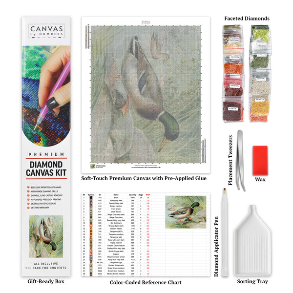 Canard colvert - Peinture diamant - Grand