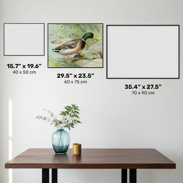 Canard colvert - Peinture diamant - Grand