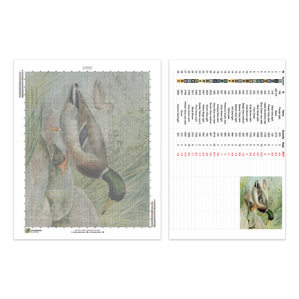 Canard colvert - Peinture diamant - Grand