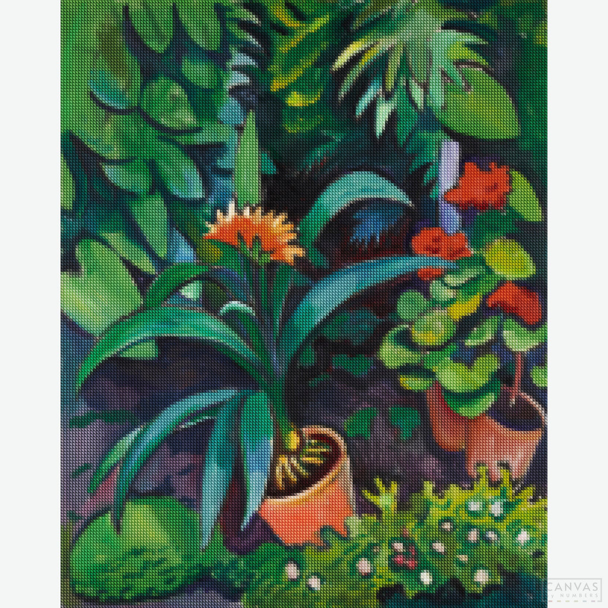 Flowers in the Garden, Clivia and Pelargonien - Diamond Painting-This August Macke paint by numbers presents a lovely floral scene full of greens. Ideal for beginners. Shop quality painting kits at Canvas by Numbers!-Canvas by Numbers