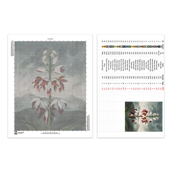 De Chinese Limodoron - Diamond Painting - Groot