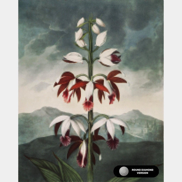 De Chinese Limodoron - Diamond Painting - Groot