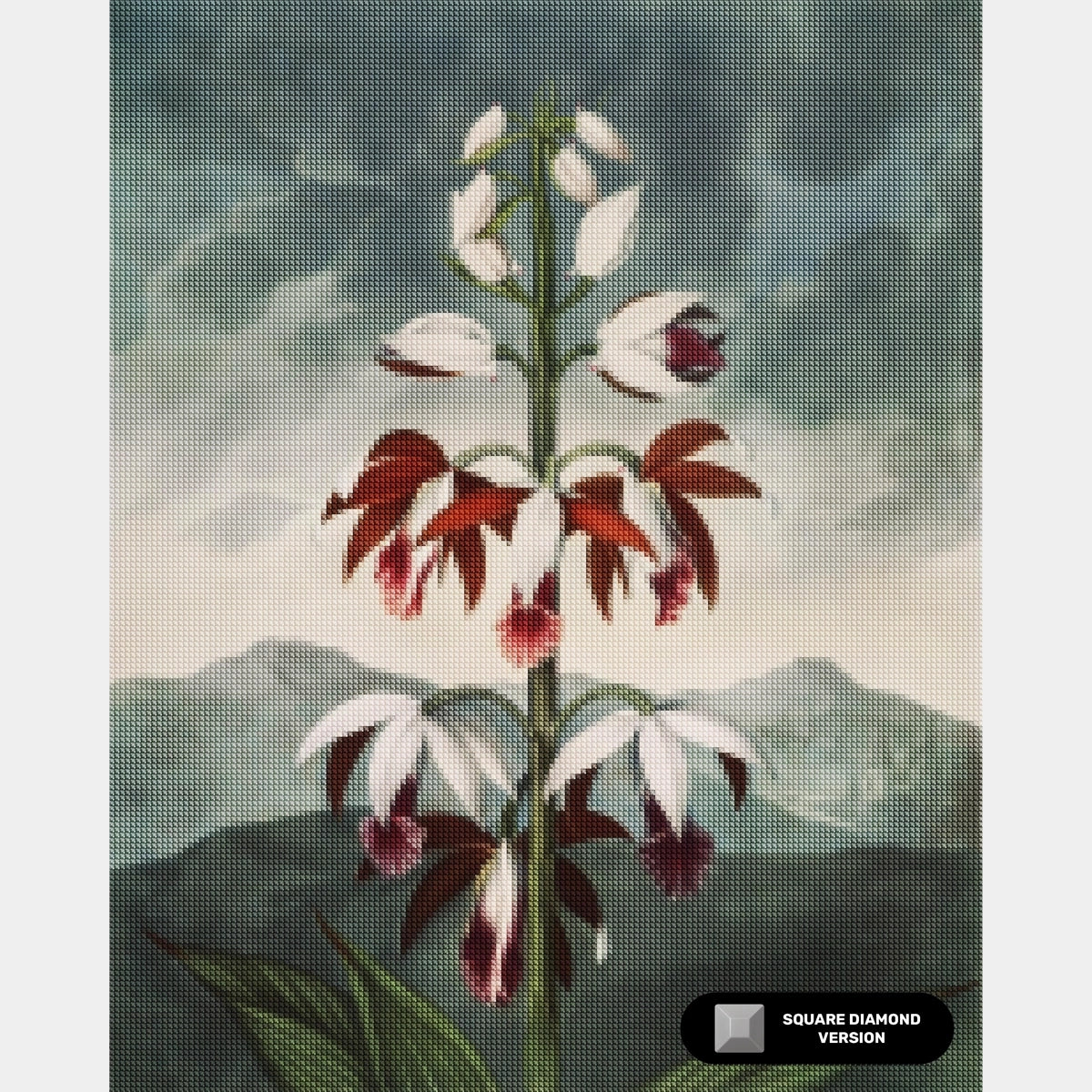 De Chinese Limodoron - Diamond Painting - Groot