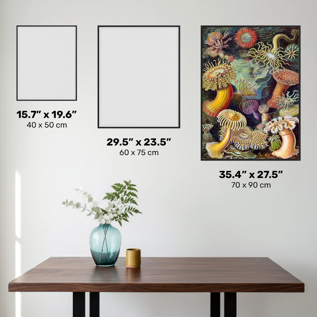 Actiniae - Diamond Painting Kit - X-Large