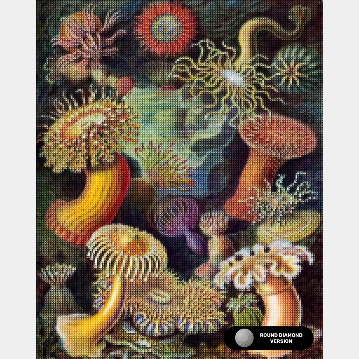 Actiniae - Diamond Painting Kit - X-Large