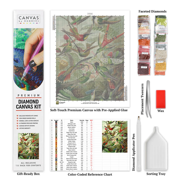 Trochilidae (Kolibrier) - Diamantmålning - X-Large