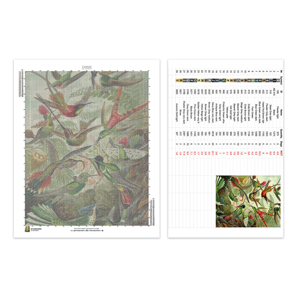 Trochilidae (Kolibrier) - Diamantmålning - X-Large