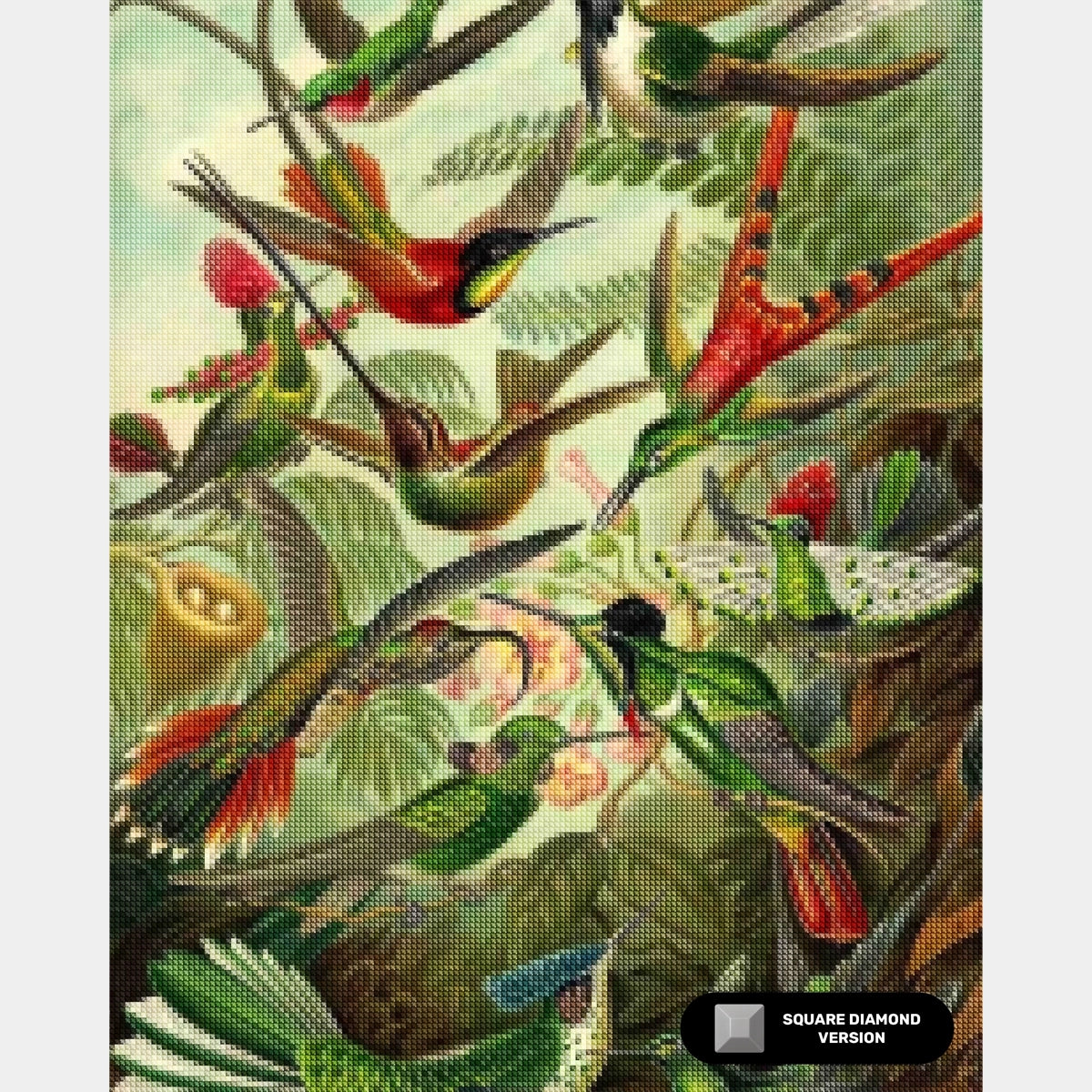 Trochilidae (Kolibrier) - Diamantmålning - X-Large