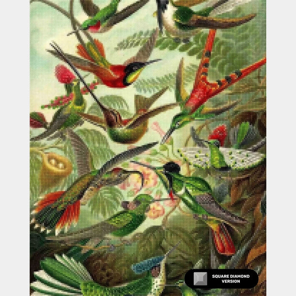 Trochilidae (Kolibrier) - Diamantmålning - X-Large