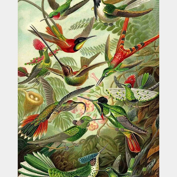 Trochilidae (Kolibrier) - Diamantmålning - X-Large