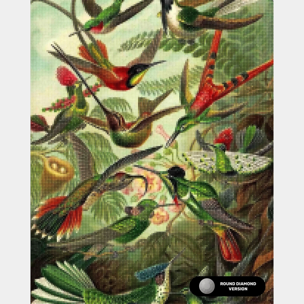 Trochilidae (Kolibrier) - Diamantmålning - X-Large