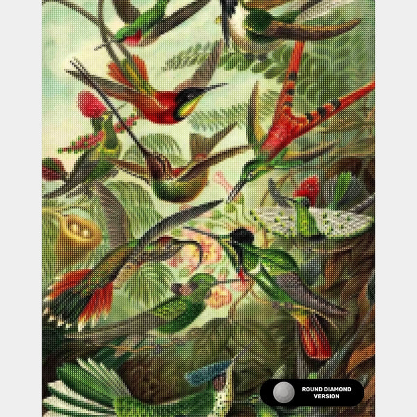 Trochilidae (Kolibrier) - Diamantmålning - X-Large