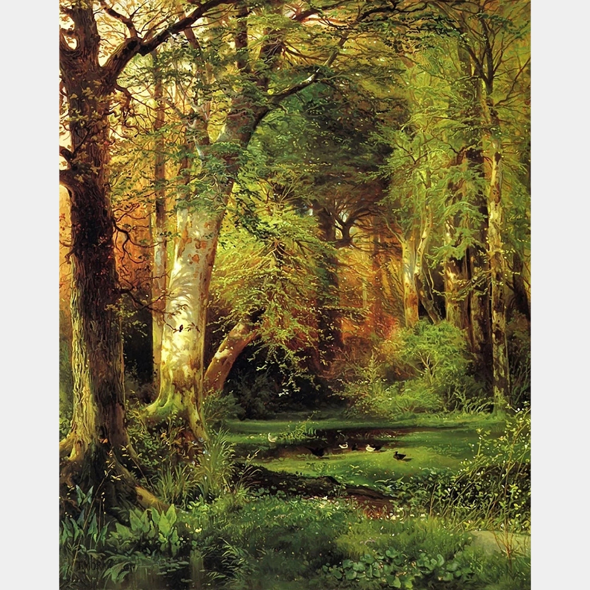 Scena Forestale - Pittura Diamante - Extra-Large