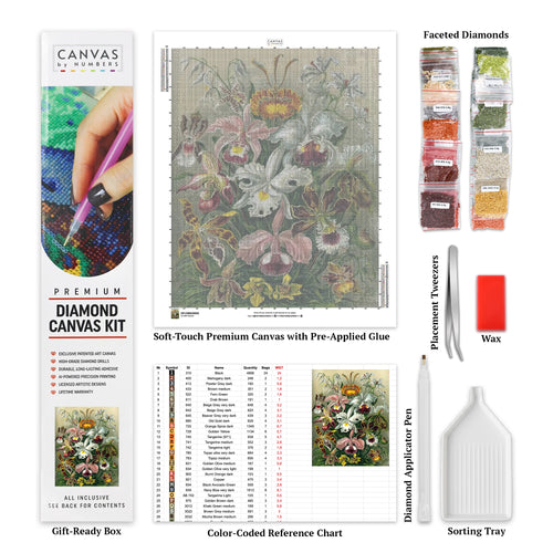 Orchidae - Diamond Painting - X-Large