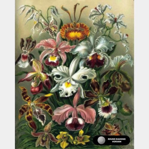 Orchidae - Diamond Painting - X-Large