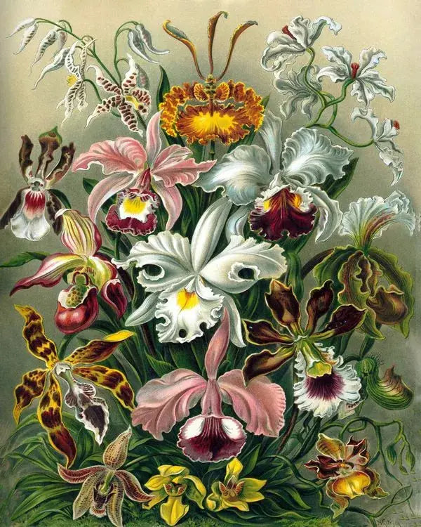 DIAMANTINY Diamond Painting Kit - Tropical Flowers, 22x30 Cm, Mit 3000+ Strasssteinen & Werkzeug