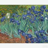 Irises - Diamond Painting-Delve into the world of Van Gogh diamond painting with our 