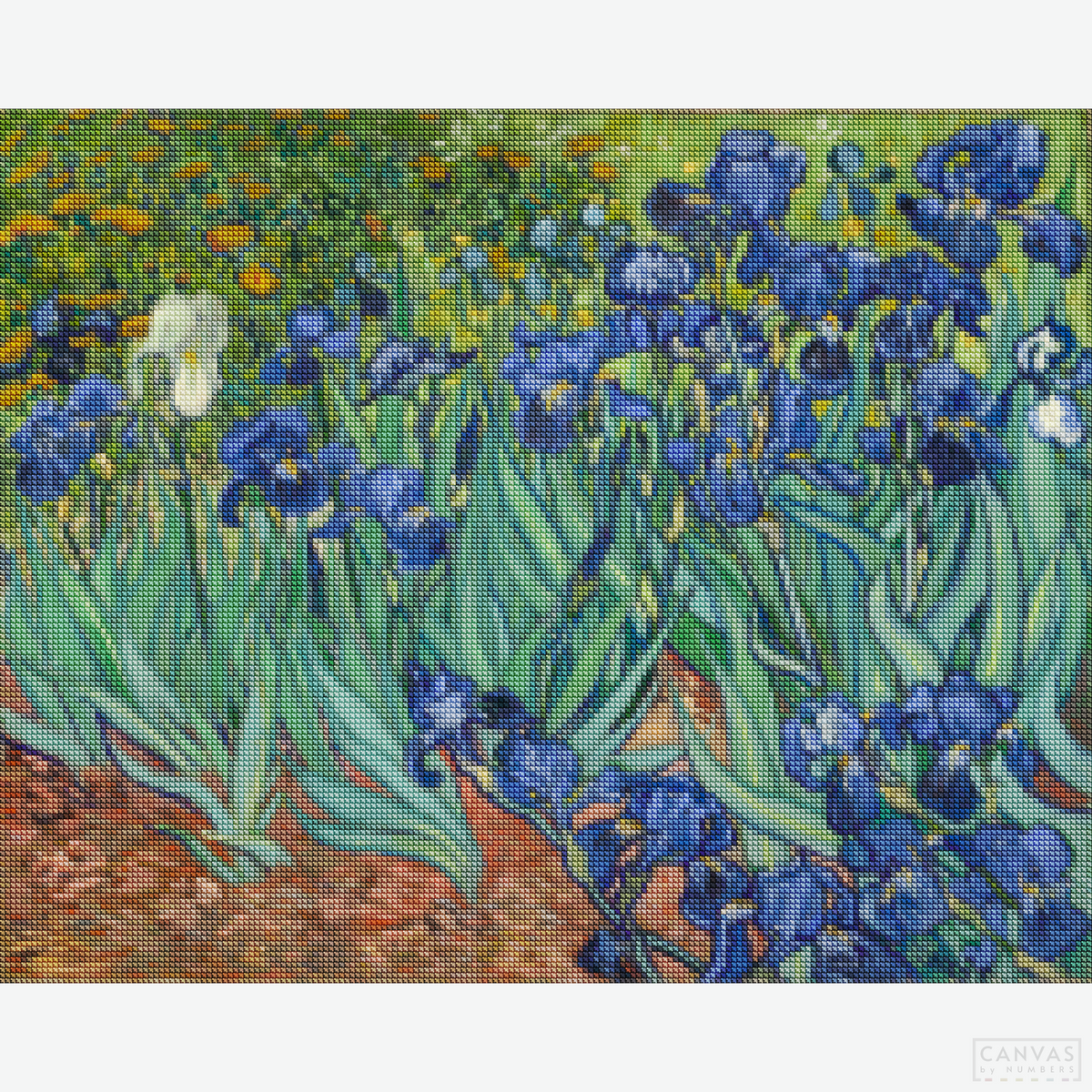 Irises - Diamond Painting-Delve into the world of Van Gogh diamond painting with our "Irises" kit. Meticulously curated for all art lovers. Transform your space with a masterpiece!-Canvas by Numbers