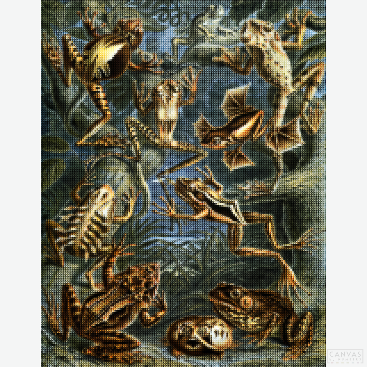 Batrachia - Diamond Painting-Explore the intricate beauty of Ernst Haeckel's "Batrachia" with our diamond painting kit. Capture the fine details of frogs and their lush surroundings.-Canvas by Numbers