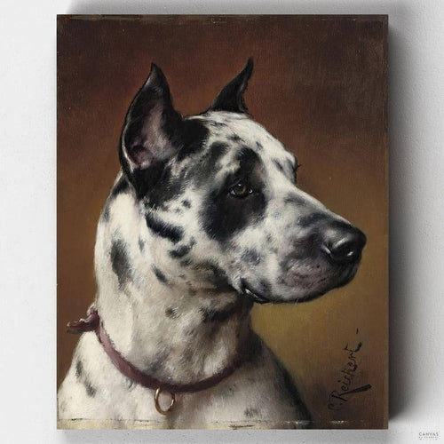 A Great Dane. Recreate Carl Reichert's A Great Dane Painting through our dog paint by numbers kit. Connect with the elegance and power of this noble breed in your artwork.