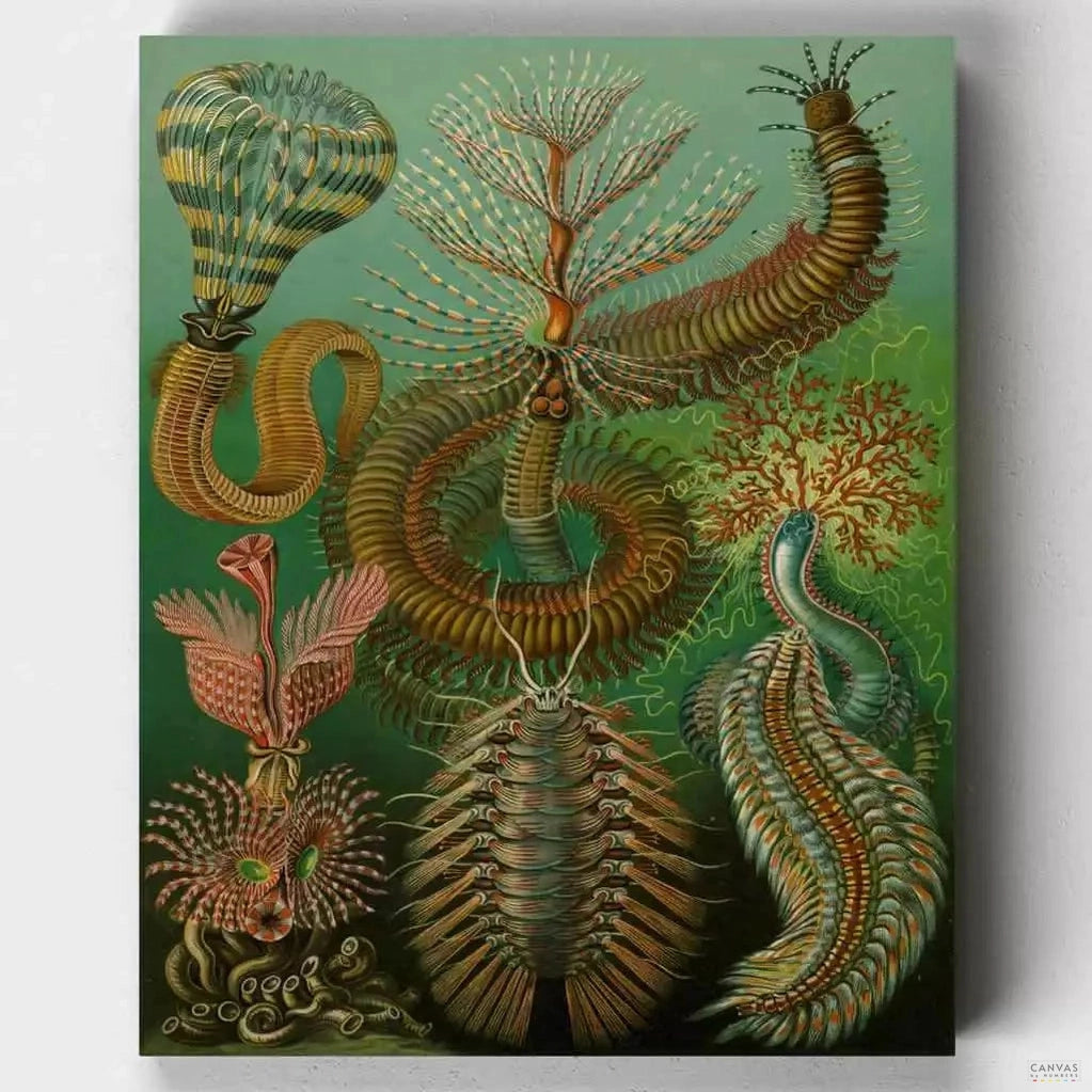 Chaetopoda - Paint by Numbers-Discover the mesmerizing world of Chaetopoda marine worms with our paint by numbers kit, inspired by Ernst Haeckel's "Art Forms in Nature" collection. -Canvas by Numbers