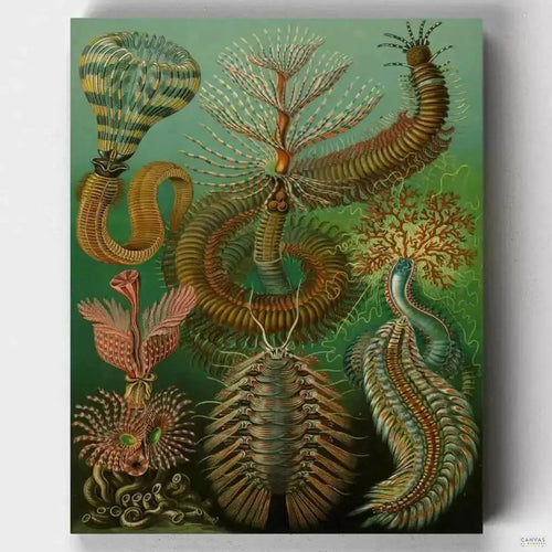 Chaetopoda. Discover the mesmerizing world of Chaetopoda marine worms with our paint by numbers kit, inspired by Ernst Haeckel's "Art Forms in Nature" collection.