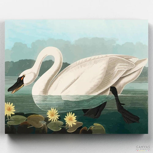 Common American Swan. John J. Audubon wildlife paint by numbers kit are beautiful animal scenes that are guaranteed to turn out fantastic. Get yours at CBN.