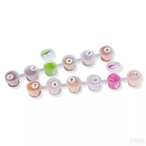 CBNEPS for Shiphero. An extra paints set for your paint by numbers kit. Ideal for touch-ups and creative work on your canvas by numbers painting.