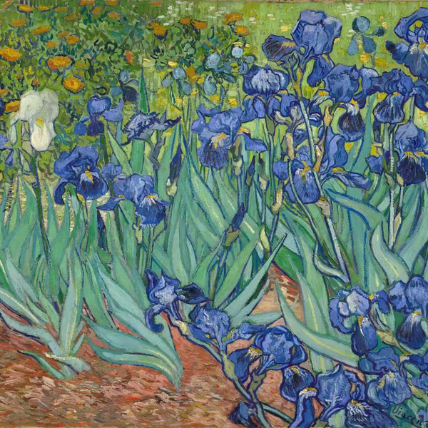 Irises - 16"x20" (40x50cm) No Frame-Canvas by Numbers US