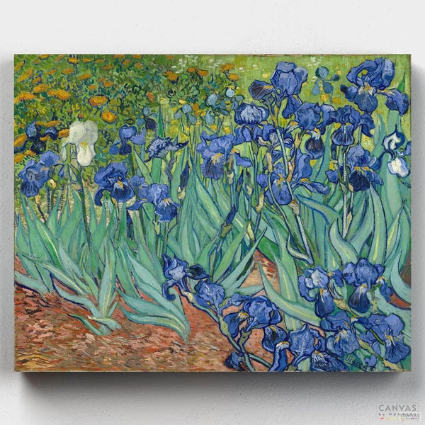 Irises - Paint by Numbers - Van Gogh's "Irises" is a vibrant and dynamic piece created in 1889 while the artist was at the Saint-Paul-de-Mausole asylum in France. The irises painting features a lush garden scene with rich blue irises set against a contrasting background. Van Gogh's masterful use of color and composition highlights the beauty and complexity of these flowers, making it a timeless piece of art - Canvas by Numbers