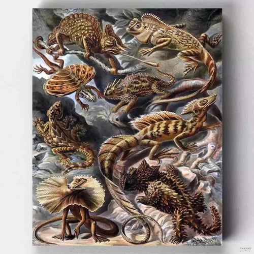 Lacertilia. Explore the intricate details of nature with Ernst Haeckel's 'Lacertilia' paint by numbers kit. Recreate stunning reptiles in vibrant, scientific detail.