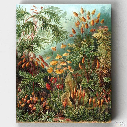 Muscinae. Muscinae by Ernst Haeckel painted by numbers, the famous German zoologist. A canvas full of color and detail for the experienced painter. Only at CBN.