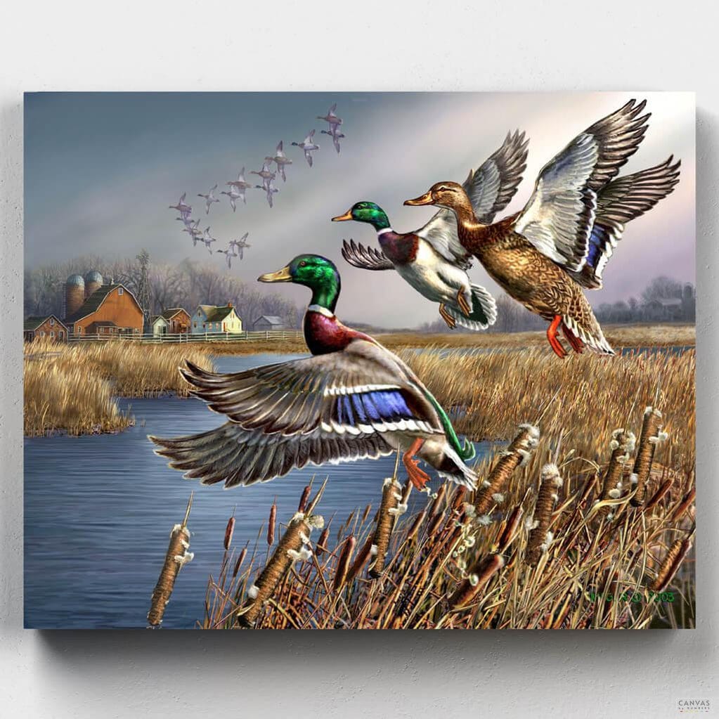 Outback Mallards - Paint by Numbers-You'll love our Outback Mallards - James Meger paint by numbers kit. Up to 50% Off! Free shipping and 60 days money-back. Shop at Canvas by Numbers. -Canvas by Numbers