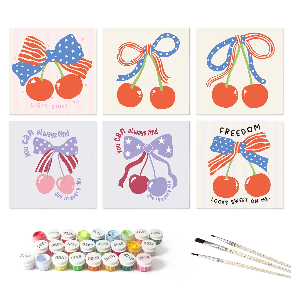 Patriotic Cherries mini paint by numbers set mockup
