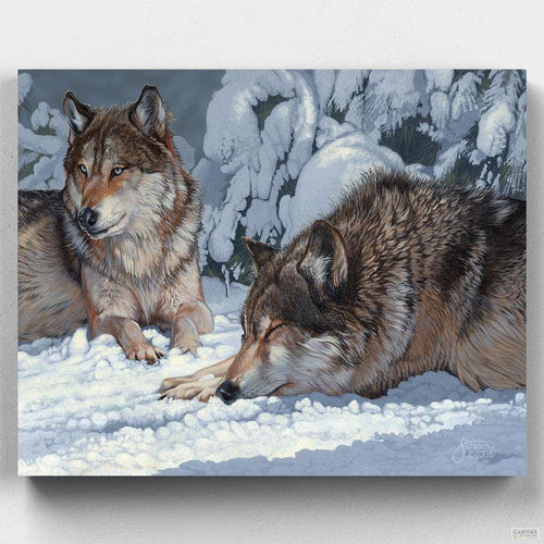 Peaceful Greys. In Peaceful Greys by Scot Storm, wolf paint by numbers lets you paint the spirit of the wild and capture the beauty of wolves painting on canvas effortlessly.