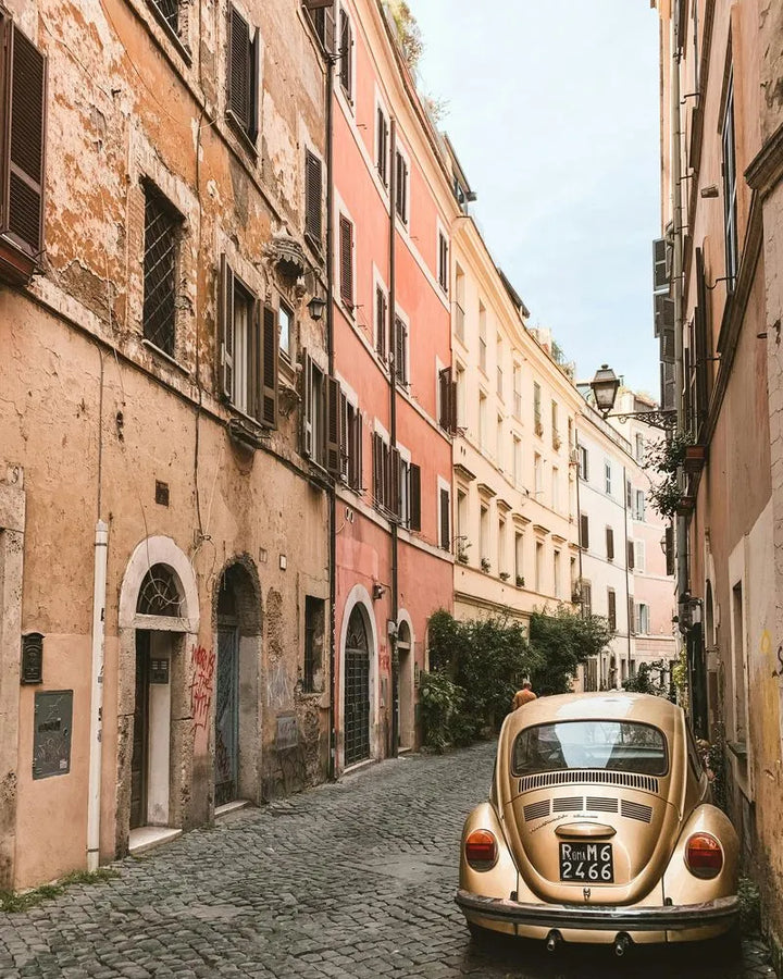 pexels-fineas-anton-2975228-ezgif