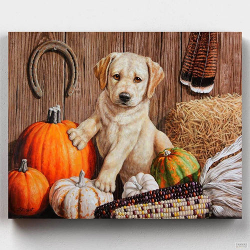 Pumpkin Harvest Puppy. This paint by numbers kit of a cute Labrador pup posing with some harvest goodies will provide hours of fun! Exclusive to Canvas by Numbers.