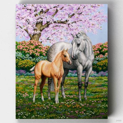 Spring’s Gift. Take a breath of fresh air and jump into this beautiful spring landscape paint by numbers kit and immerse yourself in a ponies' paradise.