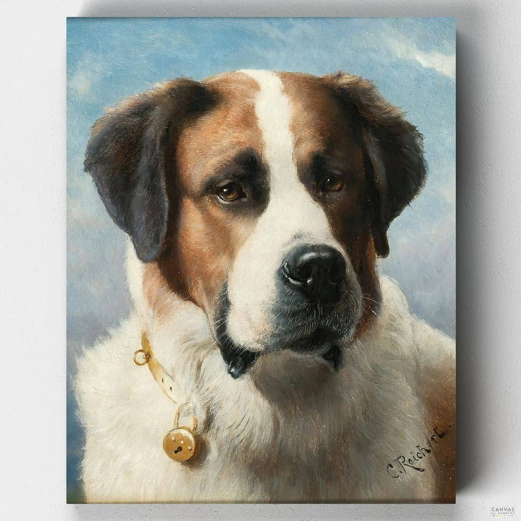 titled "Head of a St. Bernard" by Carl Reichert. It is a portrait of a St. Bernard dog, wearing a red collar with a bell. The dog is sitting in front of a dark background, and its head is turned slightly to the viewer's left. St Bernard - Paint by Numbers - Create your own 'St Bernard' portrait with our paint-by-numbers kit - Canvas by Numbers
