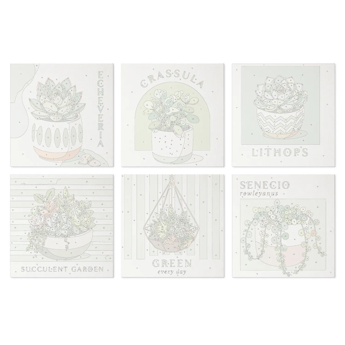 Succulent Garden mini paint by numbers design 3