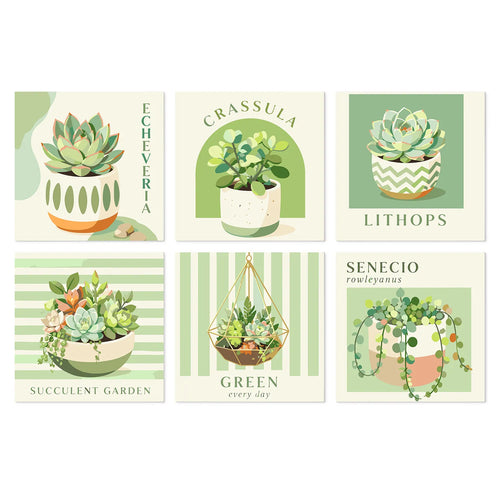Succulent Garden mini paint by numbers kit cover