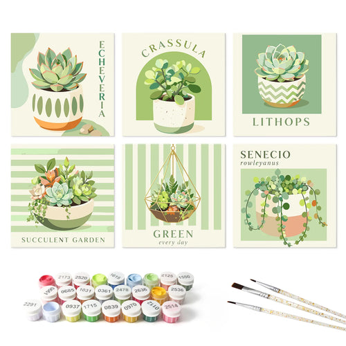 Succulent Garden mini paint by numbers set mockup
