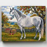 Dappled grey horse in an apple orchard paint by numbers kit with crates of freshly picked apples