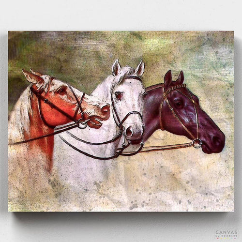 Three Horses. Discover the beauty of Three Horses Painting - Easy Paint by Number Kit. Transform a numbered canvas into a stunning artwork with our numbered painting kit.