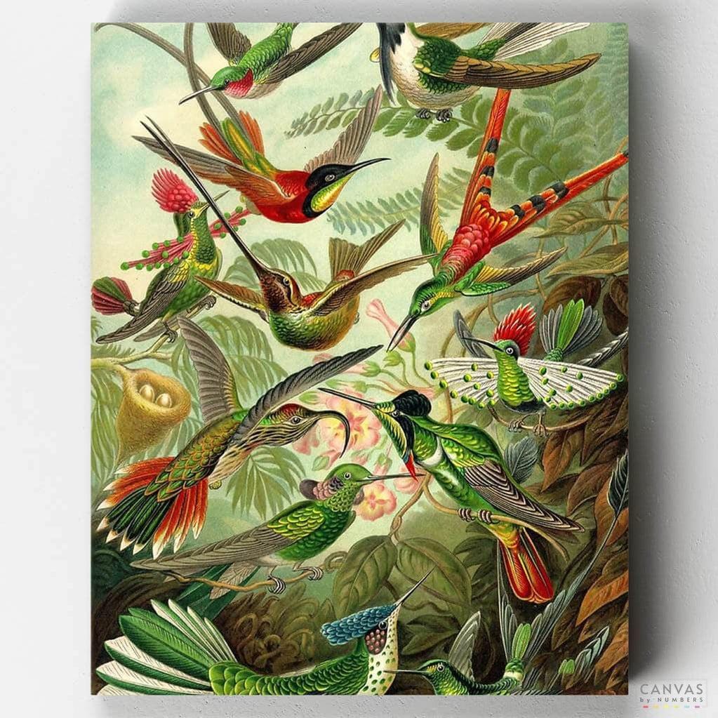 Trochilidae (Hummingbirds) - Paint by Numbers-Colibries by Ernst Haecket is the perfect paint by numbers for birds lovers. Rated excellent in Trustpilot. Get yours today at CBN.-Canvas by Numbers